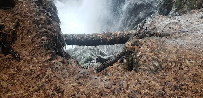 Falls Creek Campground Picture 8