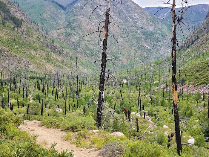 Thirtymile Trailhead Picture 3
