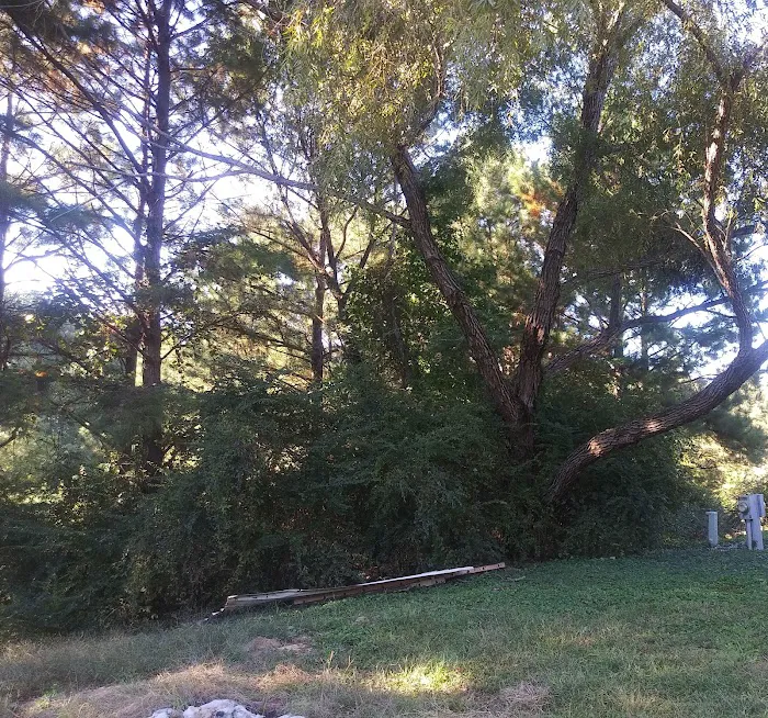 Mirror Lake R.V.park Picture 5