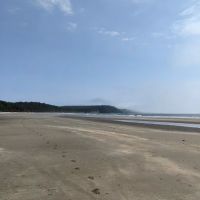 South Sand Point ico