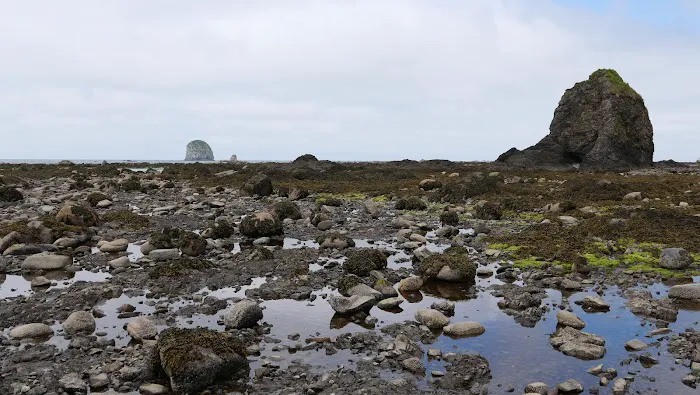 South Sand Point Picture 6