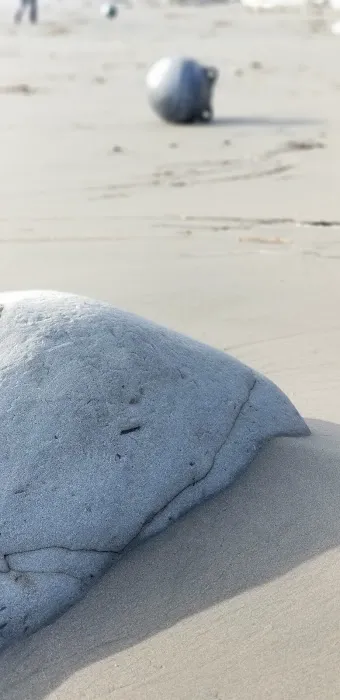 South Sand Point Picture 10