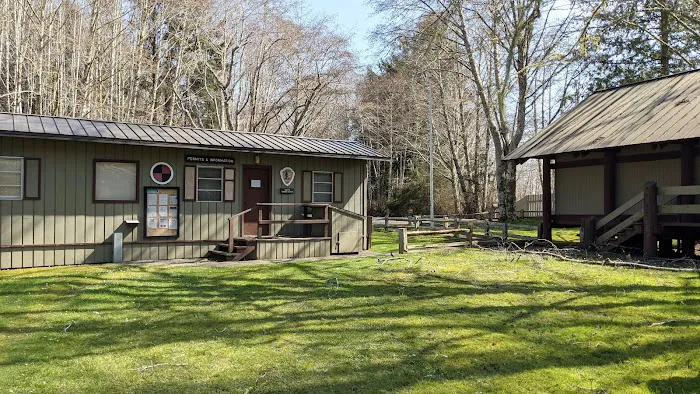 Ozette Campground Picture 2