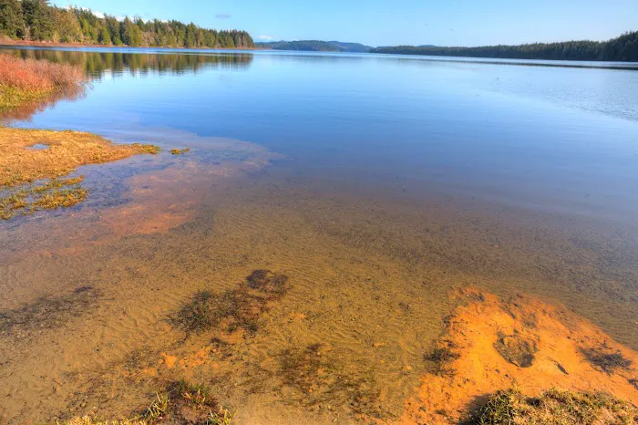 Ozette Campground Picture 1