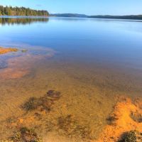 Ozette Campground ico