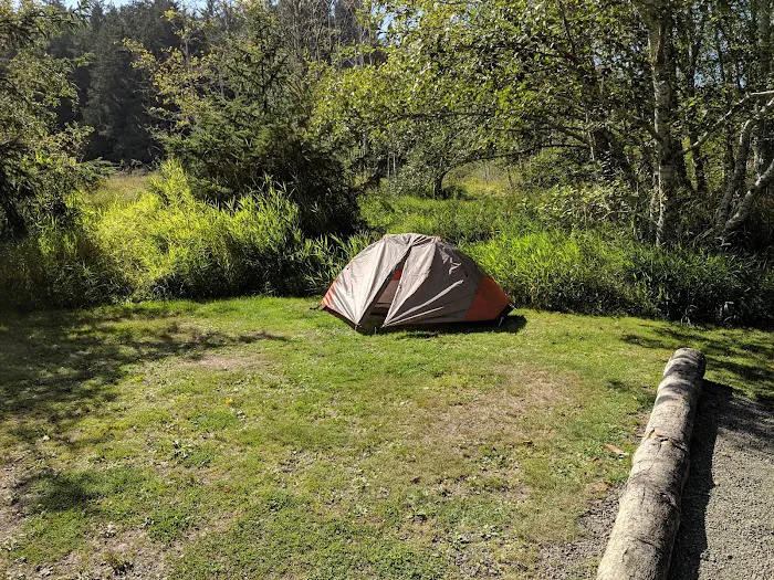 Ozette Campground Picture 3