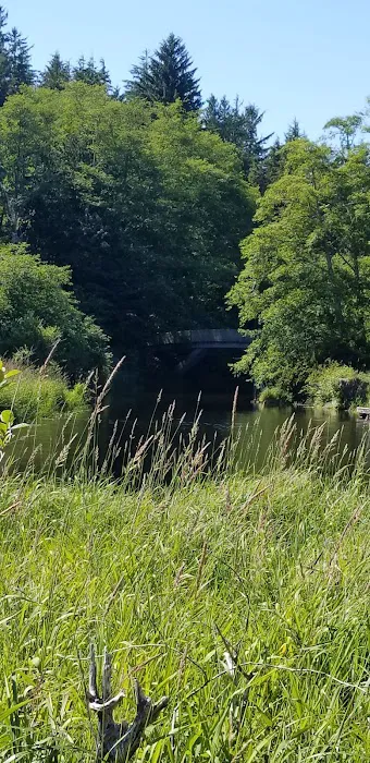 Ozette Campground Picture 7