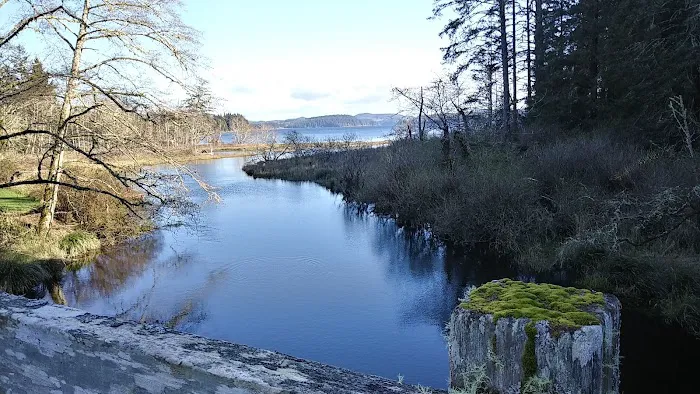 Ozette Campground Picture 8