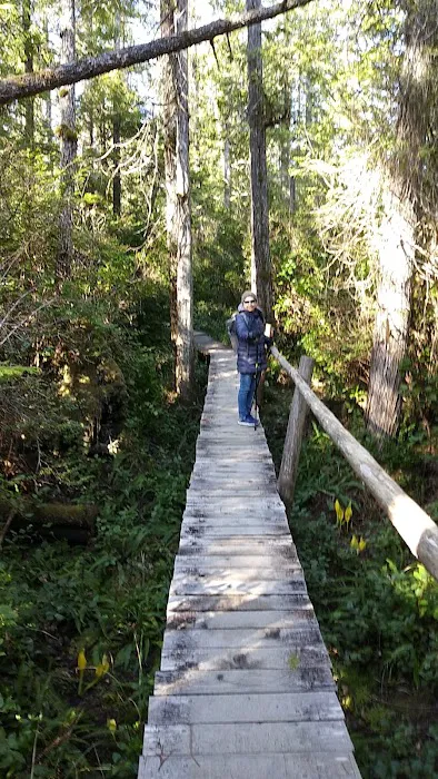 Ozette Campground Picture 5
