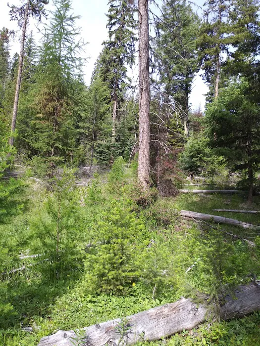 North Fork Ninemile Campground Picture 9