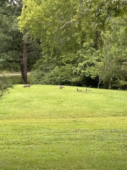 Eden Lake RV Park Picture 3