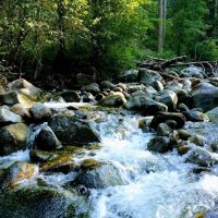 South Fork Junction Campground ico