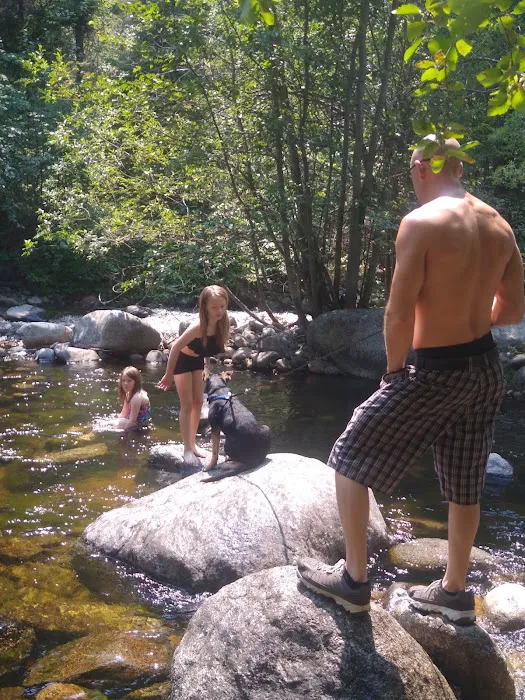 South Fork Junction Campground Picture 3