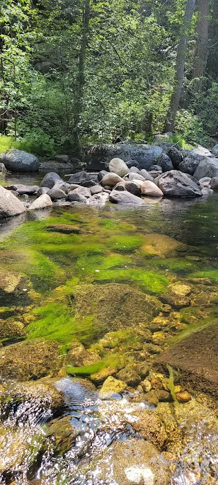 South Fork Junction Campground Picture 6
