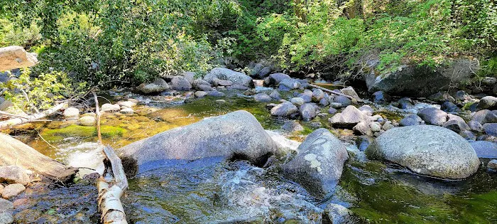 South Fork Junction Campground Picture 8
