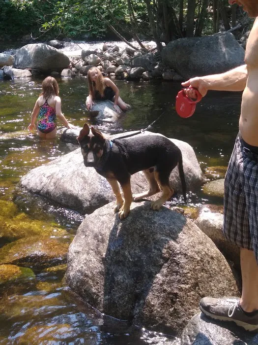 South Fork Junction Campground Picture 4