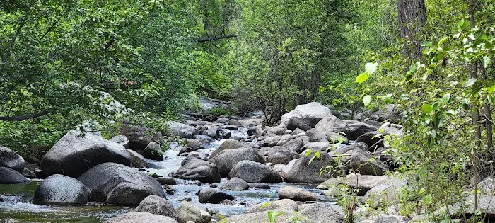 South Fork Junction Campground Picture 7