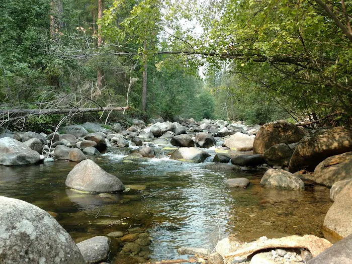 South Fork Junction Campground Picture 9