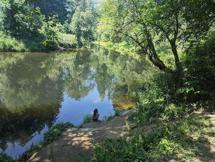 Big Eddy Park Picture 6