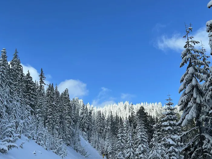 White River East Sno-Park Picture 3