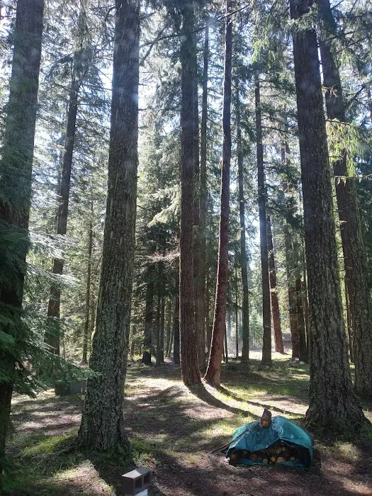 Spring Drive RV Campground Picture 7