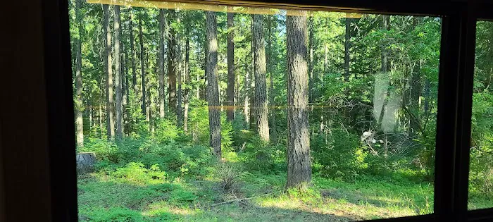Spring Drive RV Campground Picture 8