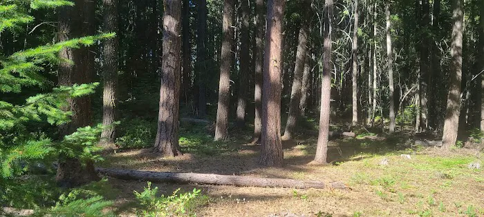 Spring Drive RV Campground Picture 6