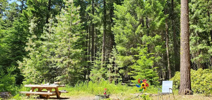 Spring Drive RV Campground Picture 5