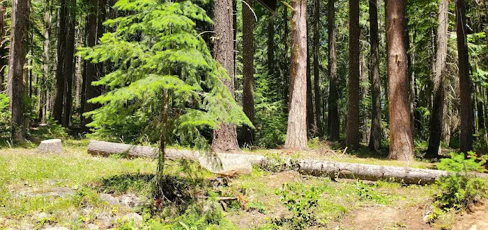 Spring Drive RV Campground Picture 4