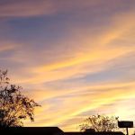 Montgomery South RV Park & Cabins