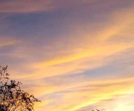 Montgomery South RV Park & Cabins