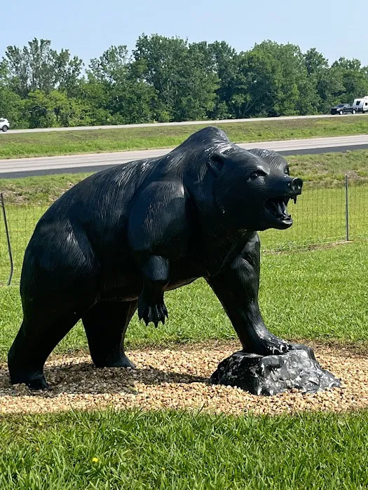 Montgomery South RV Park & Cabins Picture 9
