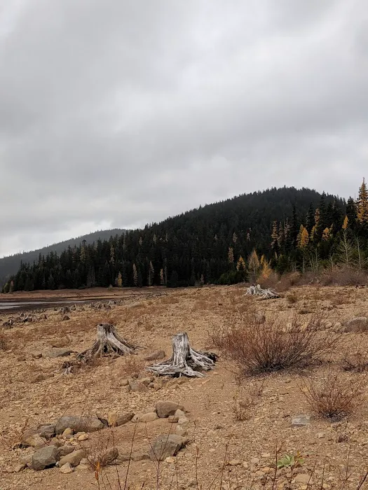 Clear Lake Campground Picture 4