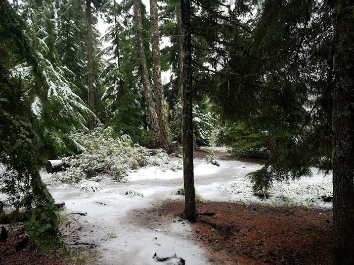 Clear Lake Campground Picture 10