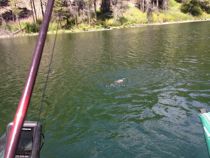 Long Lake Campground Picture 5