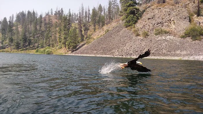 Long Lake Campground Picture 4