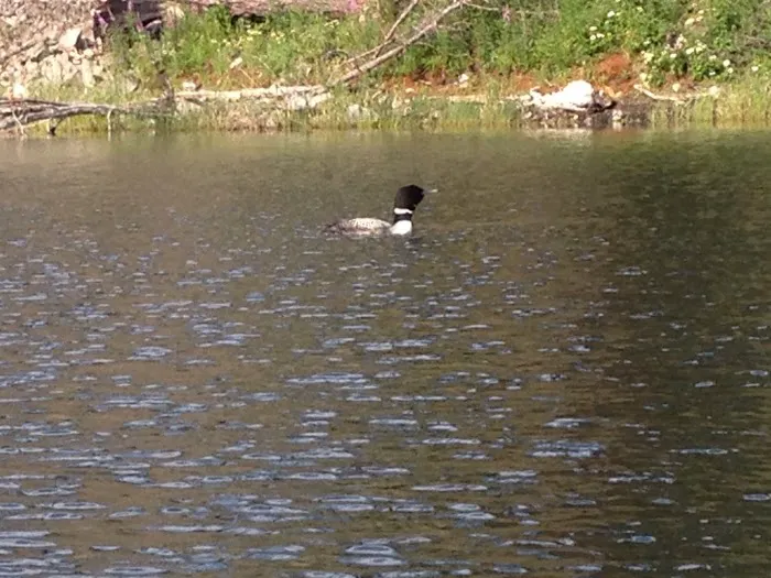 Long Lake Campground Picture 10