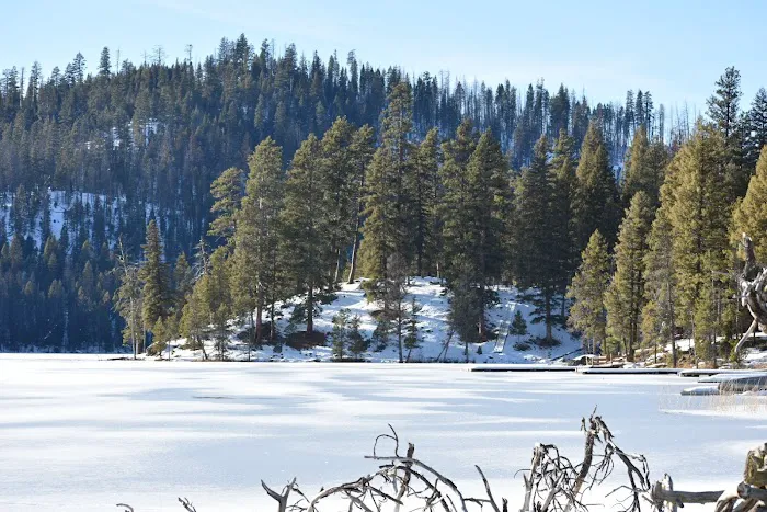 Shoreline Campground Picture 9