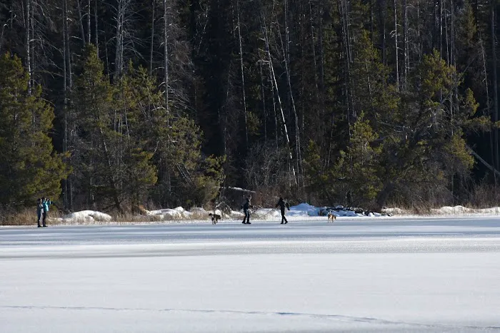 Shoreline Campground Picture 5