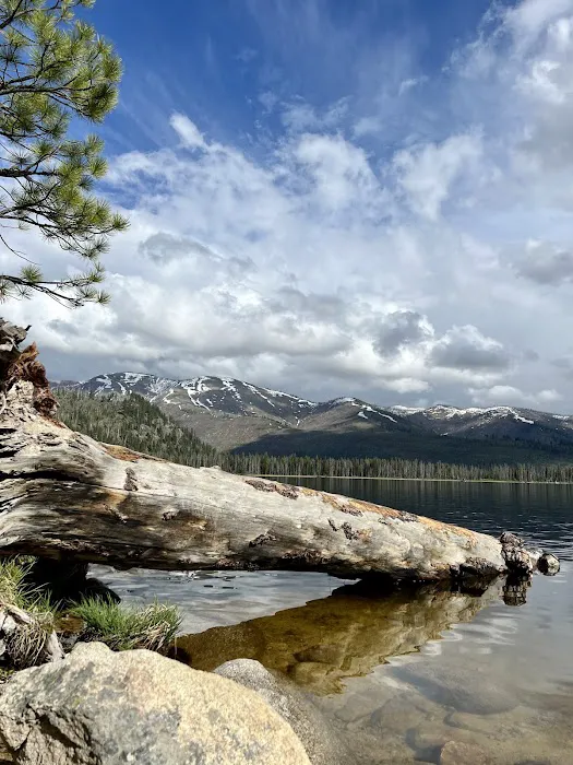Shoreline Campground Picture 6