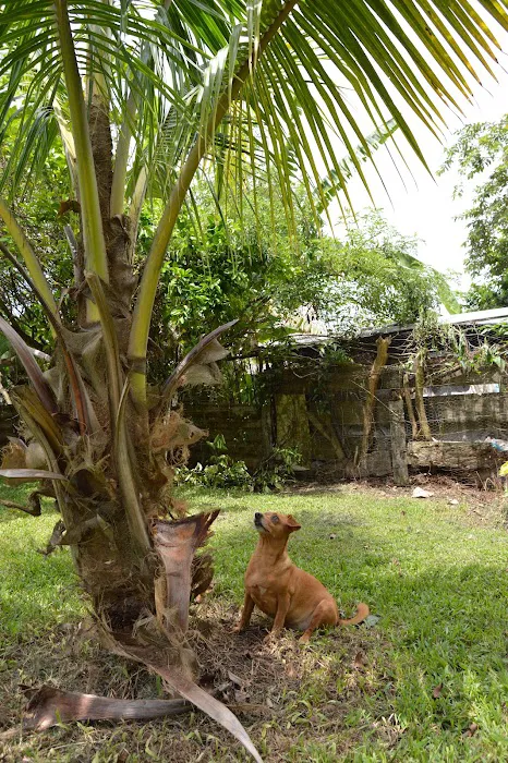 Weslo Estates Picture 5