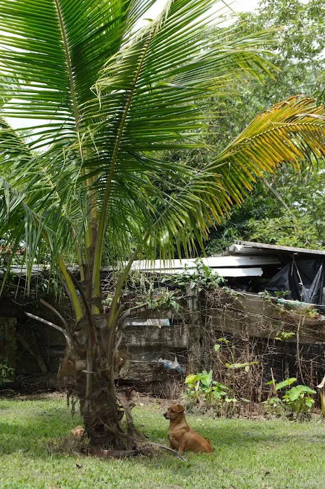 Weslo Estates Picture 3