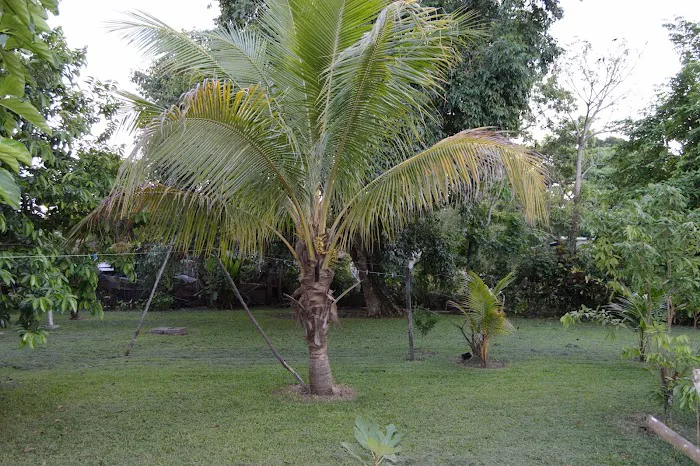 Weslo Estates Picture 6