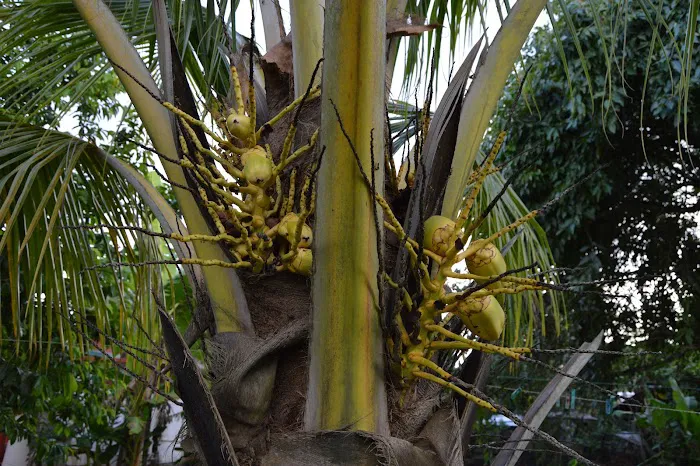 Weslo Estates Picture 2