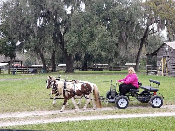 Long Branch Rest and Ride R.V. and Horse Park Picture 9