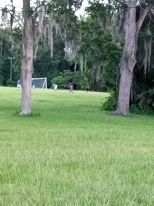 Live Oak Pines Mobile Home Park Picture 4