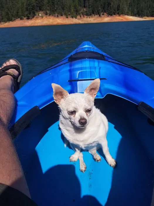 Clark Springs Campground Picture 4