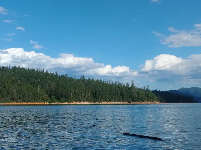 Clark Springs Campground Picture 7