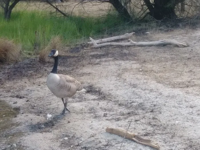 Clark Springs Campground Picture 6