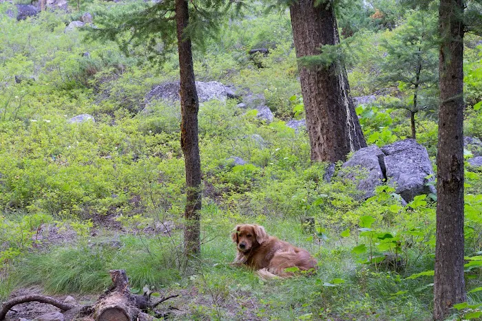 Flat Rock Campground Picture 3
